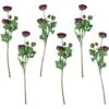 Northlight Real Touch™ Light Plum Purple Ranunculus Artificial Floral Sprays, Set Of 6 - 21" 2 Northlight Real Touch™ Light Plum Purple Ranunculus Artificial Floral Sprays, Set Of 6 - 21" -Northlight 6917892480761193120