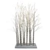 Northlight LED Lighted White Birch Twig Tree Cluster Christmas Decoration - 4' 1 Northlight LED Lighted White Birch Twig Tree Cluster Christmas Decoration - 4' -Northlight 6917892481513546400