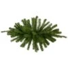 Northlight 28" Deluxe Dorchester Pine Artificial Christmas Swag, Unlit Green -Northlight 6917909319206691488