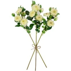 Northlight Real Touch™ White Artificial Camellia Rose Floral Sprays, Set Of 6 - 23" -Northlight 6918001572504814816