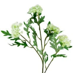 Northlight Finch Laceflower Artificial Floral Sprays- 27" - White And Green - Set Of 6 14 Northlight Finch Laceflower Artificial Floral Sprays- 27" - White And Green - Set Of 6 -Northlight 6918078167732879920