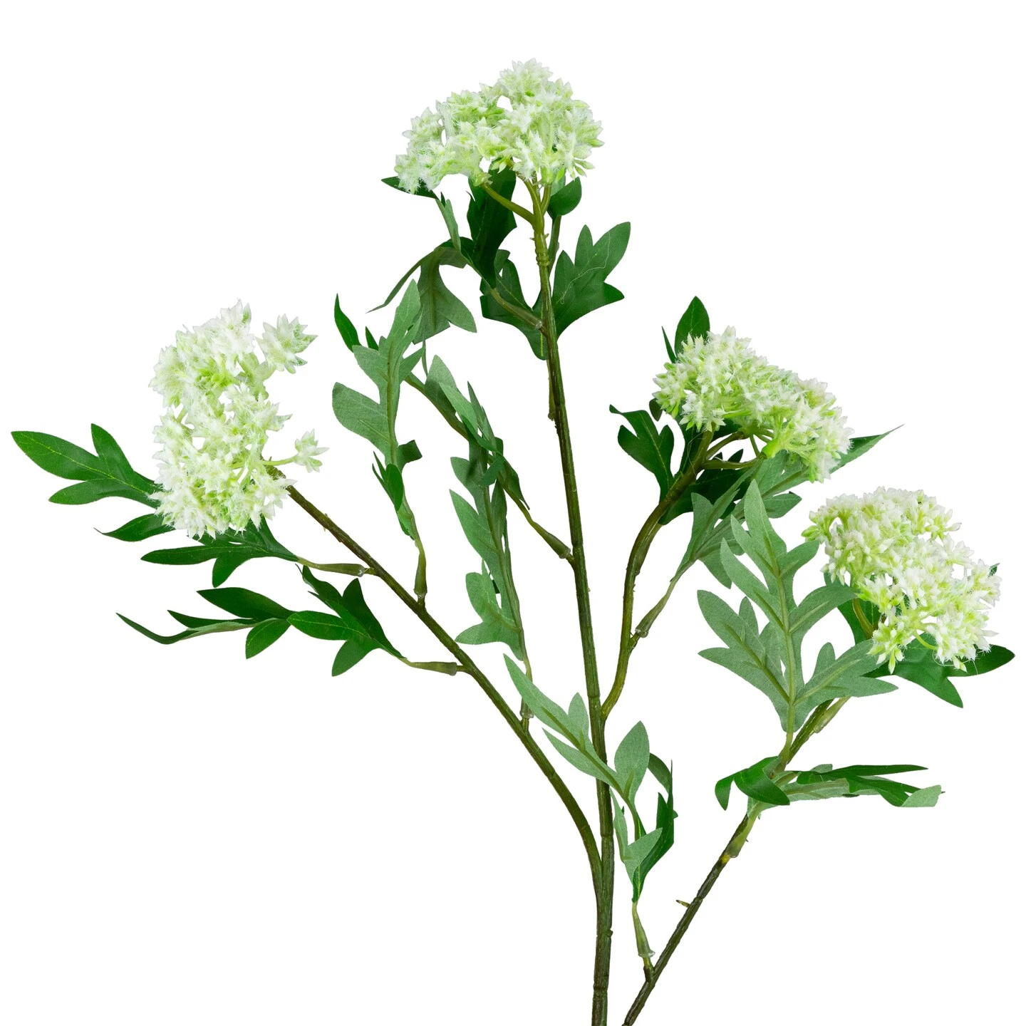 Northlight Finch Laceflower Artificial Floral Sprays- 27" - White And Green - Set Of 6 7 Northlight Finch Laceflower Artificial Floral Sprays- 27" - White And Green - Set Of 6 - Image 5