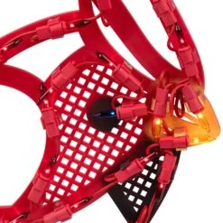 Northlight Lighted Cardinal Bird Christmas Window Silhouette - 12.5" - Red And Yellow Lights -Northlight 79857902192336