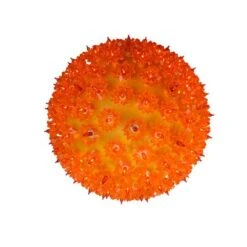 Northlight 10" Orange Lighted Twinkling Starlight Sphere Christmas Decoration 15 Northlight 10" Orange Lighted Twinkling Starlight Sphere Christmas Decoration -Northlight D027192S 11