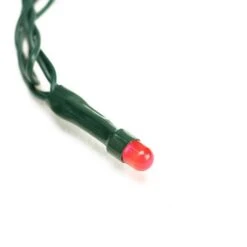 Northlight 15ct. Multicolor Micro LED Thanksgiving Lights -Northlight D204782S 2