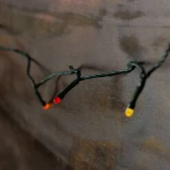 Northlight 15ct. Multicolor Micro LED Thanksgiving Lights -Northlight D204782S 3