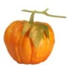 Northlight Thanksgiving Fall Harvest Bright Orange Artificial Pumpkin With Leaf Decoration -Northlight D204857S 1