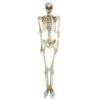 Northlight 5ft. Life Size Spooky Skeleton Halloween Decoration