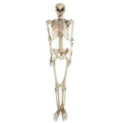Northlight 5ft. Life Size Spooky Skeleton Halloween Decoration