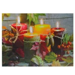 Northlight Bountiful Autumn Harvest LED Canvas Wall Art -Northlight D204918S 1 1