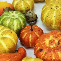 Northlight Autumn Harvest Pumpkins, Fall Leaves & Pine Cones Filler Decorations 9 Northlight Autumn Harvest Pumpkins, Fall Leaves & Pine Cones Filler Decorations -Northlight D204929S 2