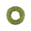 Northlight 15" Spring Green Moss And Vine Wreath