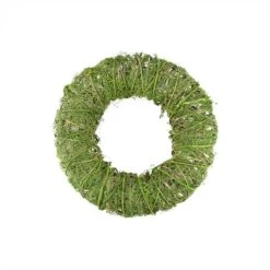 Northlight 15" Spring Green Moss And Vine Wreath