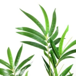 Northlight 4ft. Two-Tone Green Potted Bamboo Plant -Northlight D236739S 2