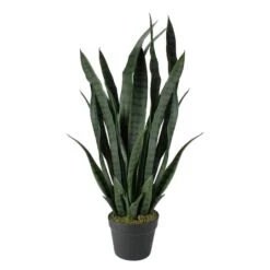 Northlight 2.4ft. Two-Tone Green & Black Potted Snake Plant -Northlight D236740S 1 1