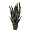 Northlight 2.4ft. Two-Tone Green & Black Potted Snake Plant