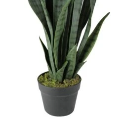 Northlight 2.4ft. Two-Tone Green & Black Potted Snake Plant -Northlight D236740S 2