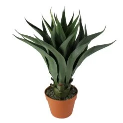 Northlight 2ft. Potted Green Agave Americana Artificial Succulent Plant -Northlight D236742S 1 1