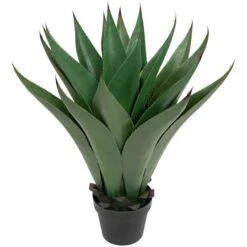 Northlight 2ft. Potted Green Agave Americana Artificial Succulent Plant -Northlight D236742S 3