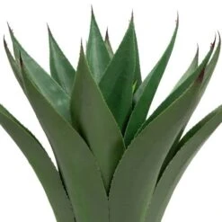Northlight 2ft. Potted Green Agave Americana Artificial Succulent Plant -Northlight D236742S 5