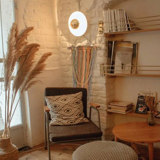 Northlight 2.5ft. Rustic Knotted Rope Shade On Birch Branch Wall Art 8 Northlight 2.5ft. Rustic Knotted Rope Shade On Birch Branch Wall Art - Image 6