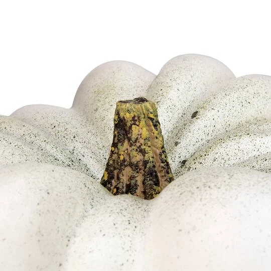 Northlight 14" White Flat Round Pumpkin Tabletop Décor 5 Northlight 14" White Flat Round Pumpkin Tabletop Décor - Image 3