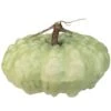 Northlight 10.5" Green Textured Pumpkin Tabletop Décor 1 Northlight 10.5" Green Textured Pumpkin Tabletop Décor -Northlight D253297S 1