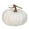 Northlight 10" White Flat Round Pumpkin Tabletop Décor -Northlight D253304S 1