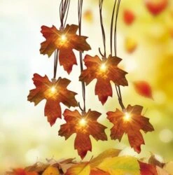 Northlight 20ct. Warm White LED Maple Leaf Autumn Harvest String Lights -Northlight D253355S 2