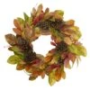 Northlight 26" Leaves & Berries Twig Thanksgiving Wreath