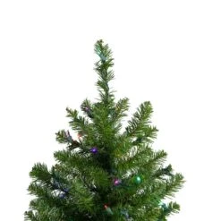 Northlight 24" Pre-Lit Canadian Pine Artificial Christmas Tree, Multicolor Lights -Northlight D253652S 13
