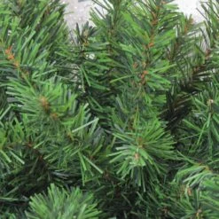 Northlight 32" Canadian Pine Door Swag -Northlight D253724S 2