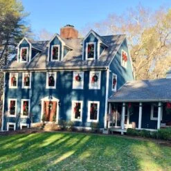 Northlight 24" Canadian Pine Artificial Christmas Wreath -Northlight D253771S 15