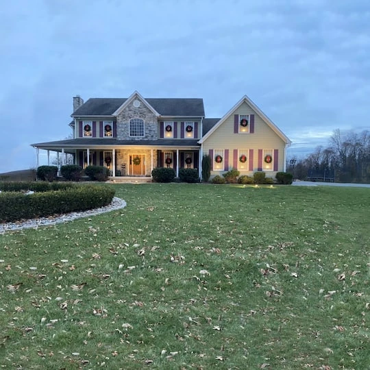 Northlight 2.5ft. Canadian Pine Artificial Christmas Wreath 15 Northlight 2.5ft. Canadian Pine Artificial Christmas Wreath - Image 13