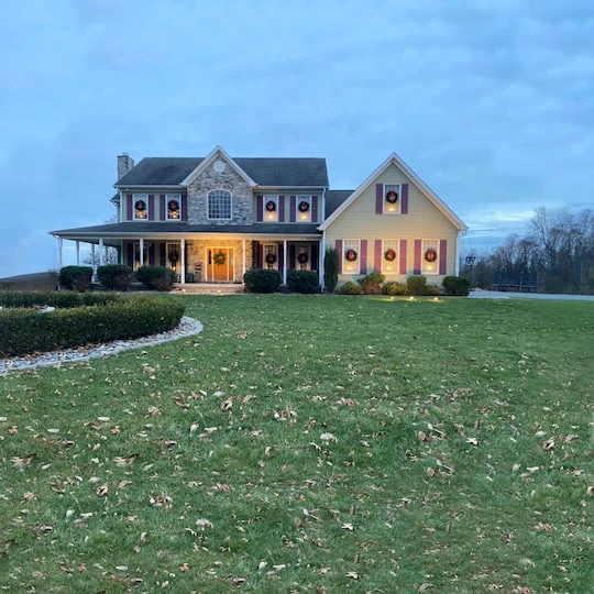 Northlight 2.5ft. Canadian Pine Artificial Christmas Wreath 9 Northlight 2.5ft. Canadian Pine Artificial Christmas Wreath - Image 7