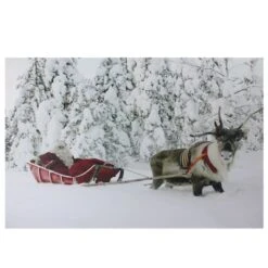 Northlight Fiber Optic Lighted Santa In His Sleigh Canvas Wall Art -Northlight D361840S 1 1