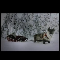 Northlight Fiber Optic Lighted Santa In His Sleigh Canvas Wall Art -Northlight D361840S 2