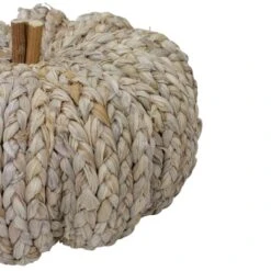 Northlight 9.5" Beige Weaved Autumn Harvest Tabletop Pumpkin -Northlight D406283S 3