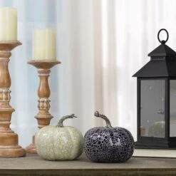 Northlight 5" Black & Beige Fall Harvest Tabletop Pumpkin Set 9 Northlight 5" Black & Beige Fall Harvest Tabletop Pumpkin Set -Northlight D406299S 2