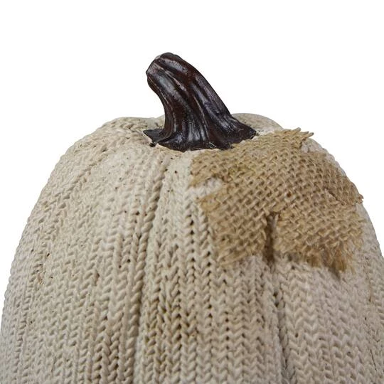 Northlight 6.25" White Pumpkin Autumn Harvest Thanksgiving Tabletop Decoration 7 Northlight 6.25" White Pumpkin Autumn Harvest Thanksgiving Tabletop Decoration - Image 5