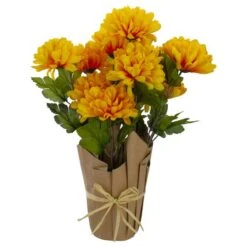 Northlight 20" Yellow Fall Harvest Mum Plant In Pot -Northlight D406343S 1 1