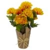 Northlight 20" Yellow Fall Harvest Mum Plant In Pot -Northlight D406343S 1