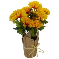 Northlight 20" Yellow Fall Harvest Mum Plant In Pot -Northlight D406343S 4