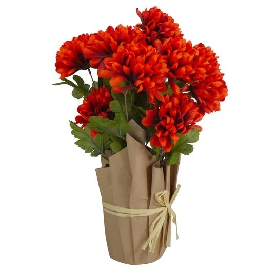 Northlight 20" Orange Fall Harvest Mum Plant In Pot 7 Northlight 20" Orange Fall Harvest Mum Plant In Pot - Image 5