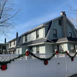 Northlight 50ft. Commercial Length Artificial Canadian Pine Garland 15 Northlight 50ft. Commercial Length Artificial Canadian Pine Garland -Northlight D491007S 14