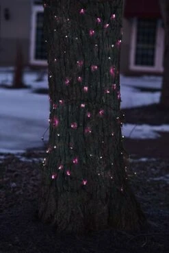 Northlight 2ft. X 8ft. Pink Tree Trunk Wrap Christmas Net Lights 13 Northlight 2ft. X 8ft. Pink Tree Trunk Wrap Christmas Net Lights -Northlight D491513S 13