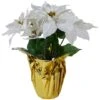 Northlight 17" Potted White Poinsettia Christmas Arrangement