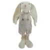 Northlight 14.5" Standing Boy Easter Bunny Spring Figure -Northlight D587347S 1