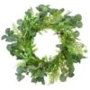 Northlight 21" Green Eucalyptus & Foliage Springtime Floral Wreath 1 Northlight 21" Green Eucalyptus & Foliage Springtime Floral Wreath -Northlight D587362S 1