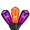 Northlight 10ct. Purple & Orange Edison E17 Halloween Light Set